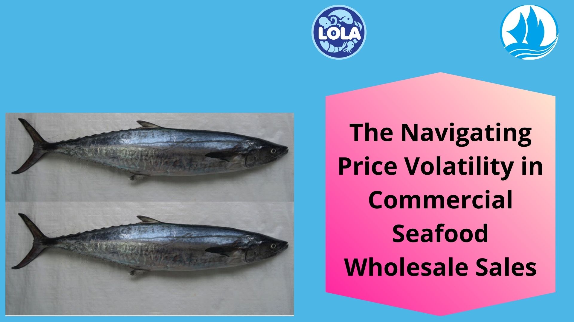  The Navigating Price Volatility in Commercial Seafood Wholesale Sales